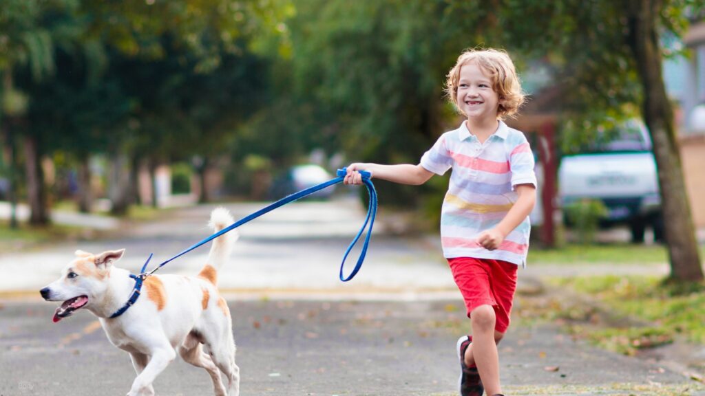 Boy walking the family dog